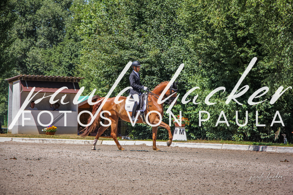 IMG_0766 | Erleben Sie dynamische Sport- und emotionale Tierfotografie in Süddeutschland mit Fotos von Paula. Spezialisiert auf Pferde- und Hundefotografie sowie Sportevents. Kontaktieren Sie mich für einzigartige und ausdrucksstarke Bilder Ihrer besonderen Momente. - Realisiert mit Pictrs.com