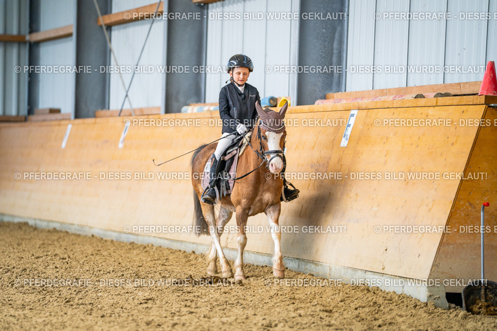 DSC02907 | Pferdegrafie