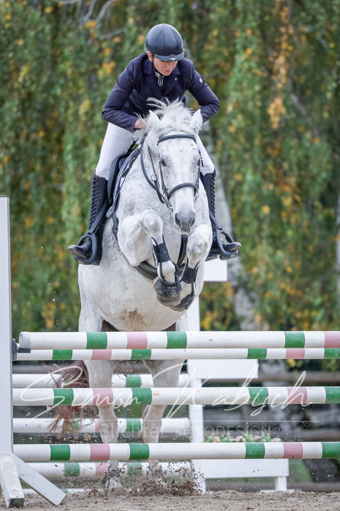 20251012-_3LI4584 | Tierfotografie Pferde, Hunde, Katzen, Haustiere.
Turnierfotografie Reitturniere, Reiten, Springreiten, Dressur in Hanau, dem Main-Kinzig-Kreis und dem Rhein-Main- Gebiet um Frankfurt