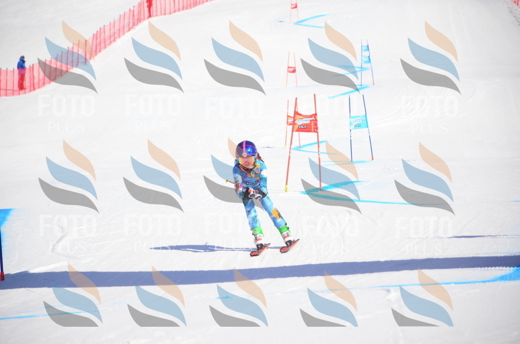 VR4_8824 | holidayphoto