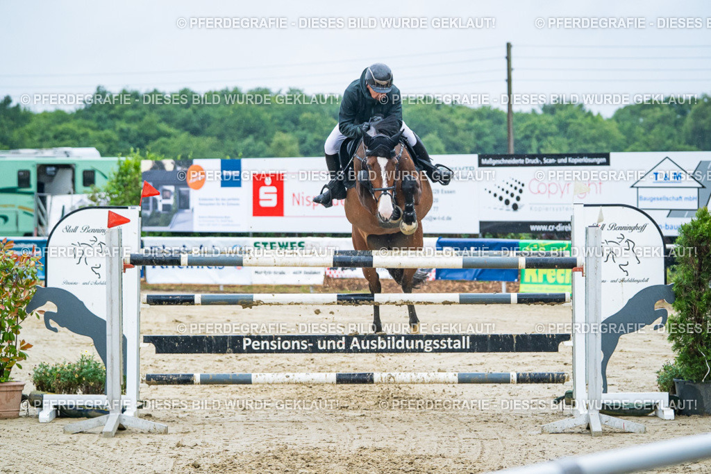 DSC00267 | Pferdegrafie