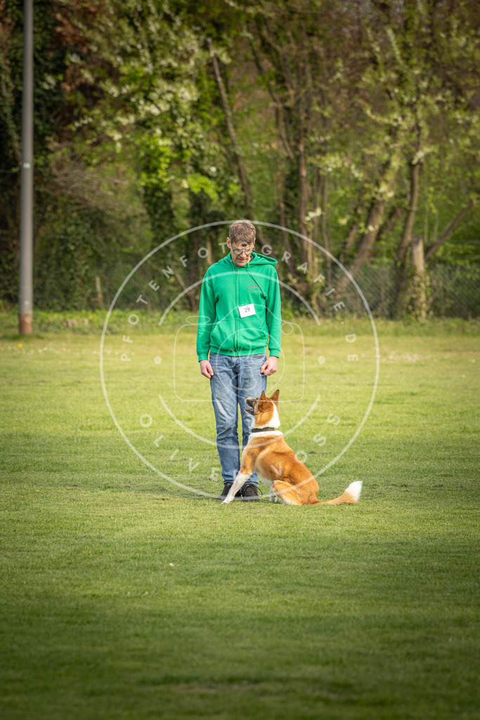 Pfotenfotografie_DV3A4896 | Hundefotografie, Tierfotograf, Pfotenfotografie, Fotoshooting Hund, Hunde Portrait, Hundesport, Hundeportraits, Heideshooting, Hunde, Sportfotograf, Hundefotograf, Turnierhundsport, THS,  - Realisiert mit Pictrs.com