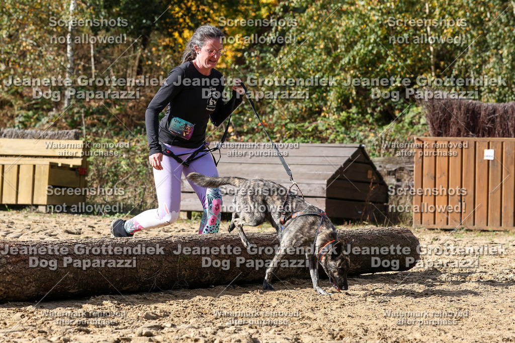 Dog Paparazzi - Strongdog 10-25-5229 | Dog Paparazzi Jeanette Grottendiek Fotografie & Videografie - Realisiert mit Pictrs.com