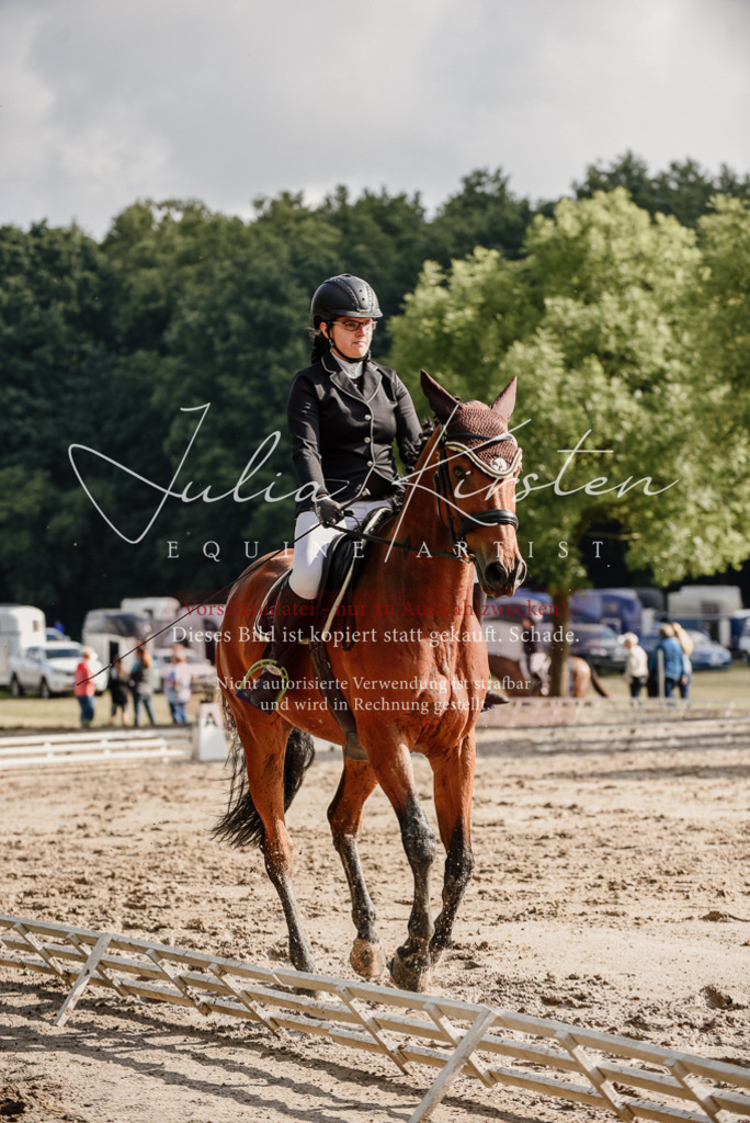 DSC_8530 | Pferde- und Turnierfotografie in Westsachsen. Pferdeportraits, Auftragszeichnungen und intuitive Kunst.