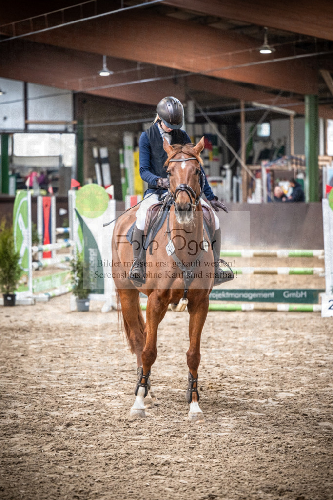 DOS_0900 | Entdecke hochwertige Reitturnierfotos von Foto Oger. Professionell, emotional und authentisch – jetzt Lieblingsmomente im Shop bestellen.Deutschlandweite Turnierfotografie. - Realisiert mit Pictrs.com