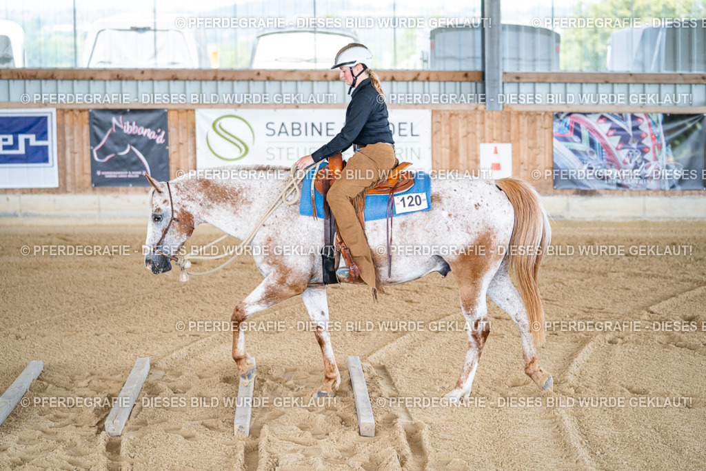 DSC01872 | Pferdegrafie