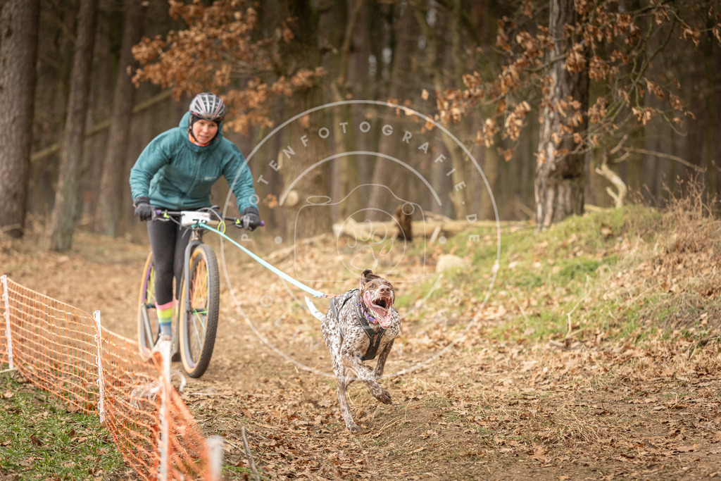 Pfotenfotografie_DV3A3936 | Hundefotografie, Tierfotograf, Pfotenfotografie, Fotoshooting Hund, Hunde Portrait, Hundesport, Hundeportraits, Heideshooting, Hunde, Sportfotograf, Hundefotograf, Turnierhundsport, THS,  - Realisiert mit Pictrs.com