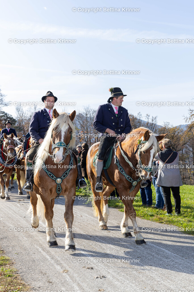 LBT24-1228 | foto-bettina-krinner - Realisiert mit Pictrs.com