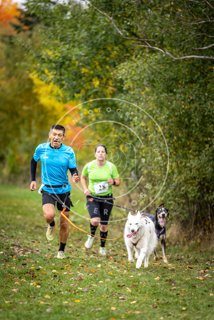 Pfotenfotografie_DV3A2054 | Hundefotografie, Tierfotograf, Pfotenfotografie, Fotoshooting Hund, Hunde Portrait, Hundesport, Hundeportraits, Heideshooting, Hunde, Sportfotograf, Hundefotograf, Turnierhundsport, THS,  - Realisiert mit Pictrs.com