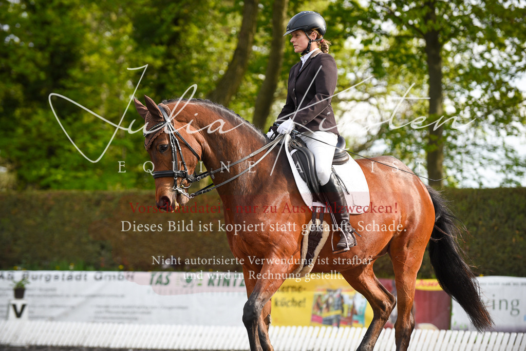 20230513_JK-Röhrsdorf-17-328 | Pferde- und Turnierfotografie in Westsachsen. Pferdeportraits, Auftragszeichnungen und intuitive Kunst.