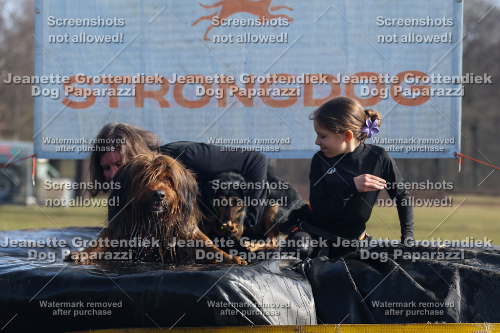 Dog Paparazzi - Strongdog North Mrz26-1296 | Dog Paparazzi Jeanette Grottendiek Fotografie & Videografie - Realisiert mit Pictrs.com