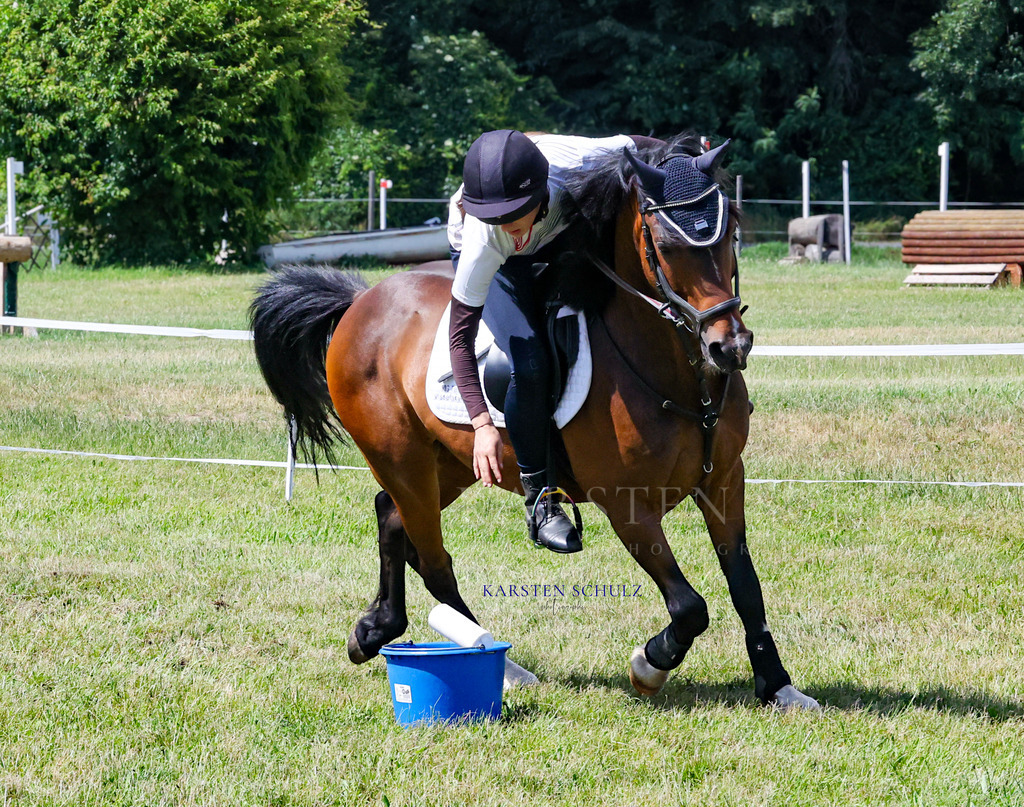 1B3A4276 | Reitsport Reiten