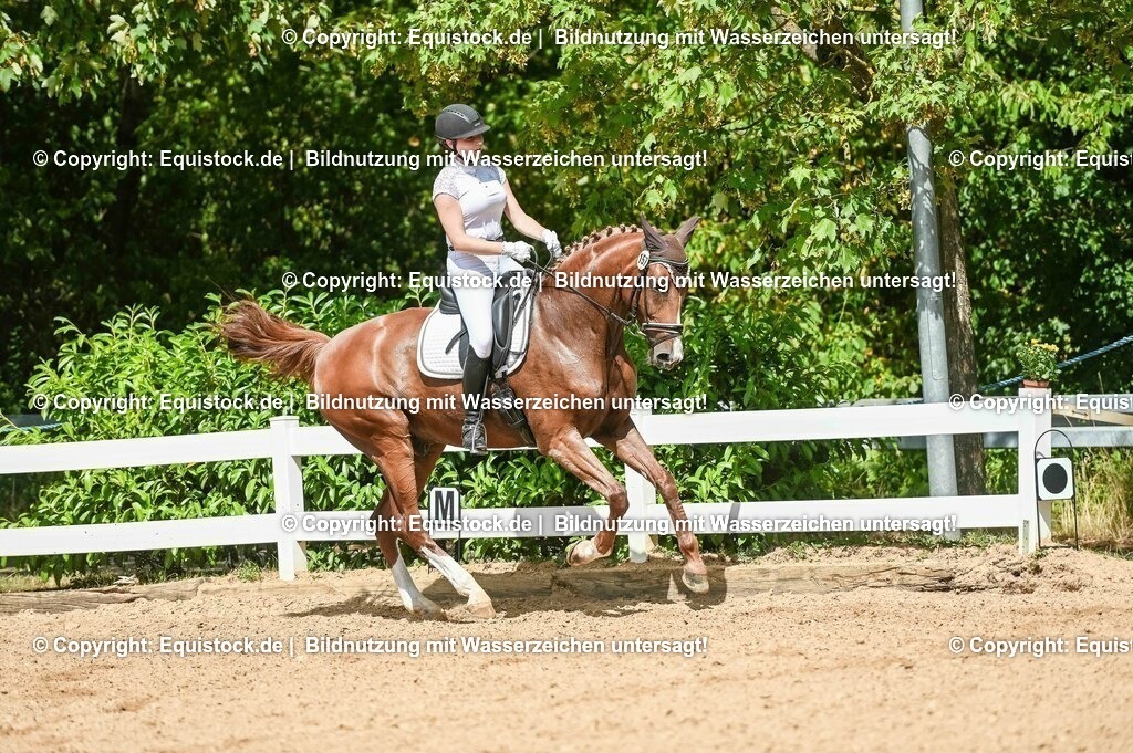 20230715_02_Dressurreiterprüfung Kl.L_0240 | equistock