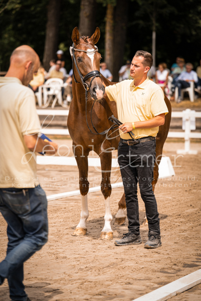 3.Fr00228 | Leoni Ertmer Photography - Realisiert mit Pictrs.com