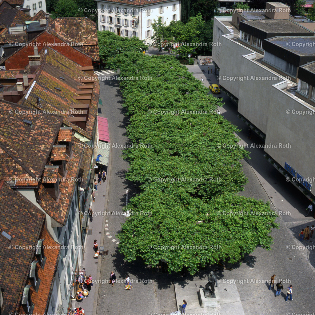 Aarau_758 | onlineshop - Realisiert mit Pictrs.com