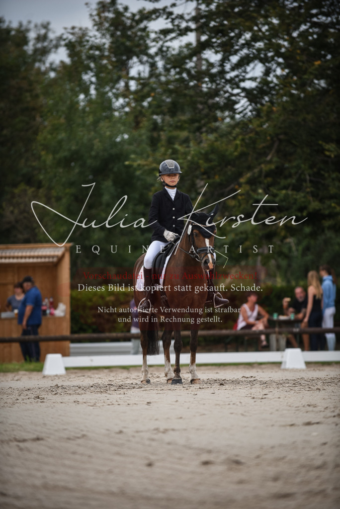 DSC_8115 | Pferde- und Turnierfotografie in Westsachsen. Pferdeportraits, Auftragszeichnungen und intuitive Kunst.