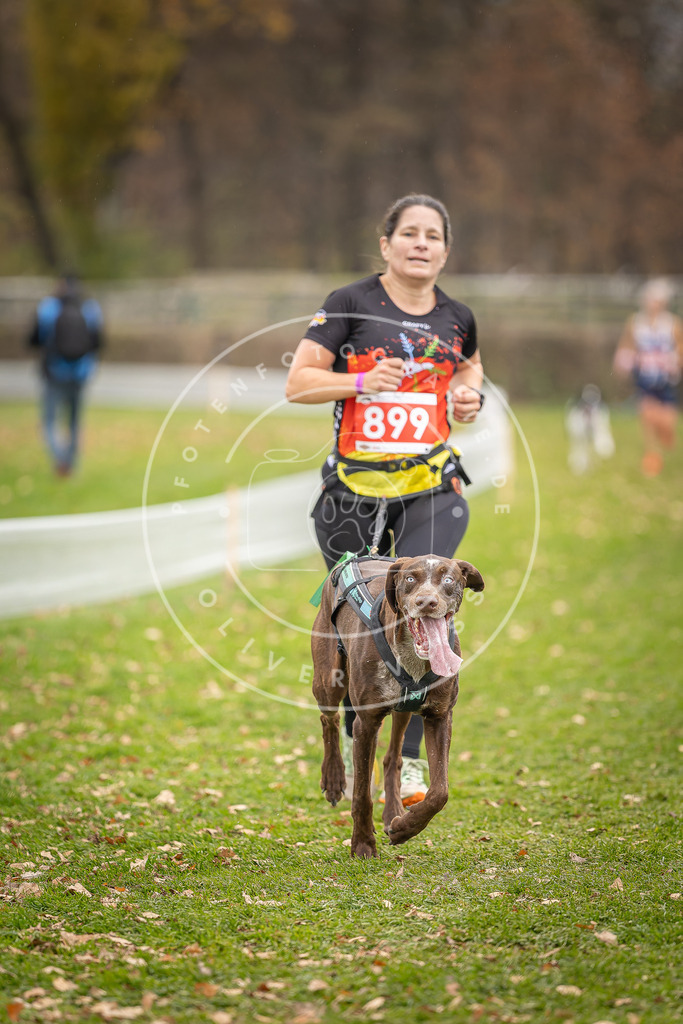 CaniXpix_DV3A6915 | Hundefotografie, Tierfotograf, Pfotenfotografie, Fotoshooting Hund, Hunde Portrait, Hundesport, Hundeportraits, Heideshooting, Hunde, Sportfotograf, Hundefotograf, Turnierhundsport, THS,  - Realisiert mit Pictrs.com