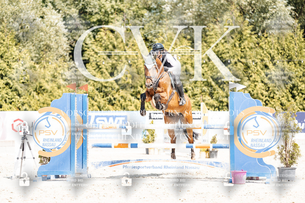 CK901096 | Turnierfotografie Pferdefotografie Trier Rheinland-Pfalz Pferdesport Reitsport Tierfotografie Sportfotografie Pferdevideo Pferdevideografie Equestrianvideography equestrianphotography  - Realisiert mit Pictrs.com
