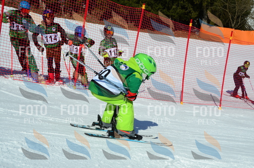 C5197 | holidayphoto