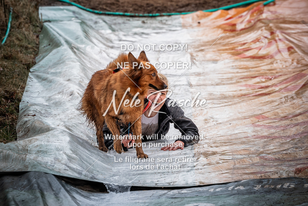 nelerasche_1130-1230_38 | nelerasche