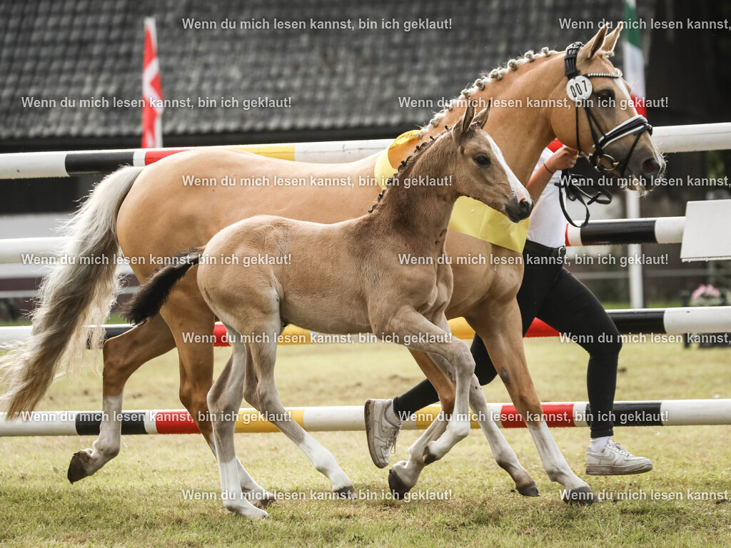 598A2650-2 | photographylinaismer - Realisiert mit Pictrs.com