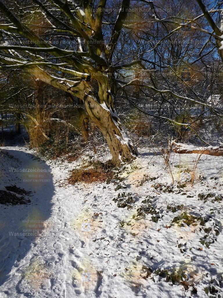 Kopie von P1000191 | Fotoseite Wolkenblende - Das Hobby fotografieren begleitet mich schon  viele  Jahre. Auf den nächsten Seiten zeige ich ein paar Schnappschüsse der letzten Jahre und es kommen immer neue hinzu. Schau einfach mal rein. - Realisiert mit Pictrs.com