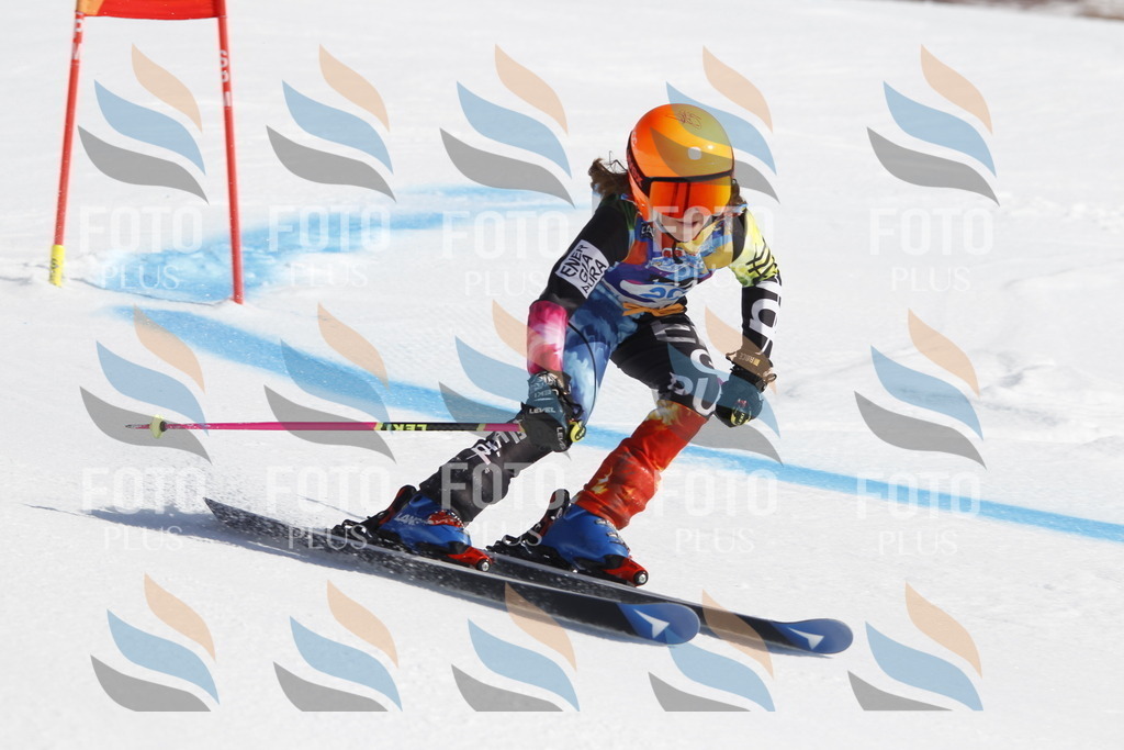 _U3G9024 | holidayphoto