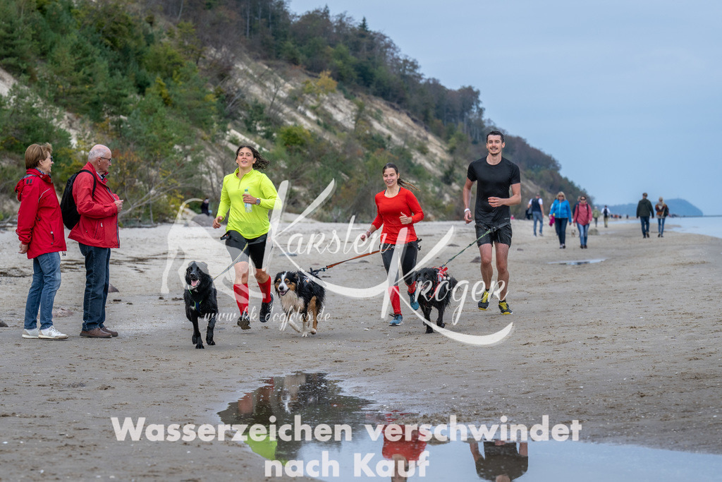 1221_ZZ91275 | kk-dogfotos