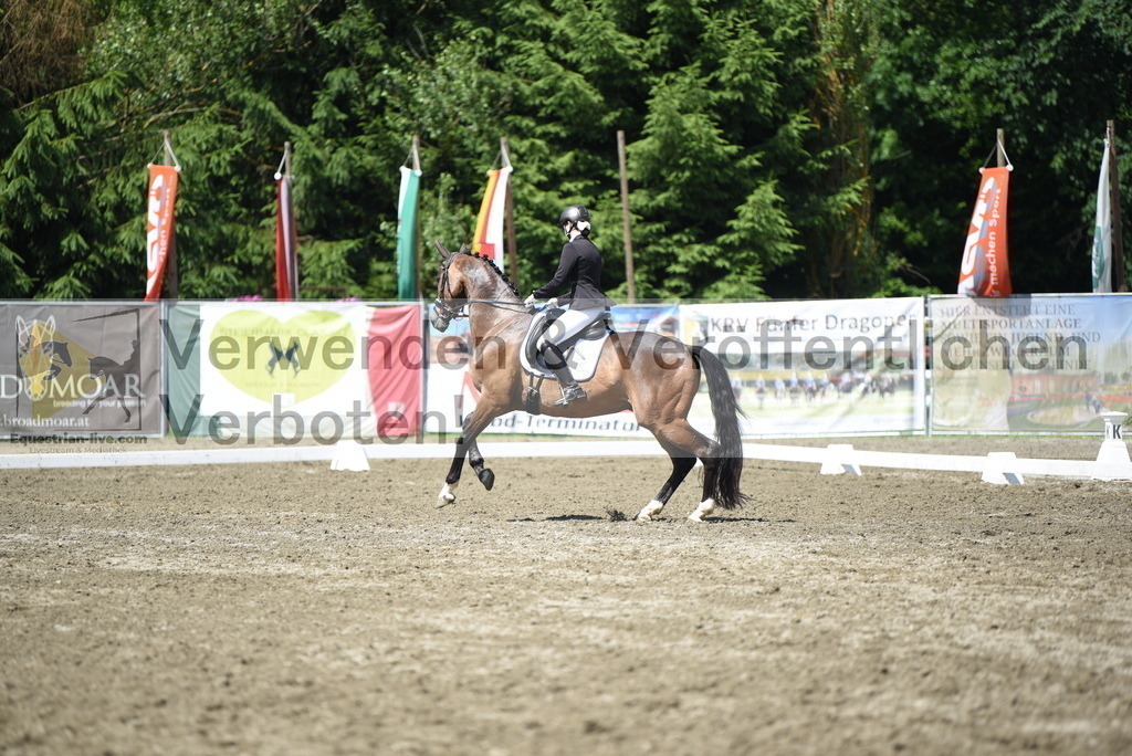 DSC_0367 | equestrian-live-com