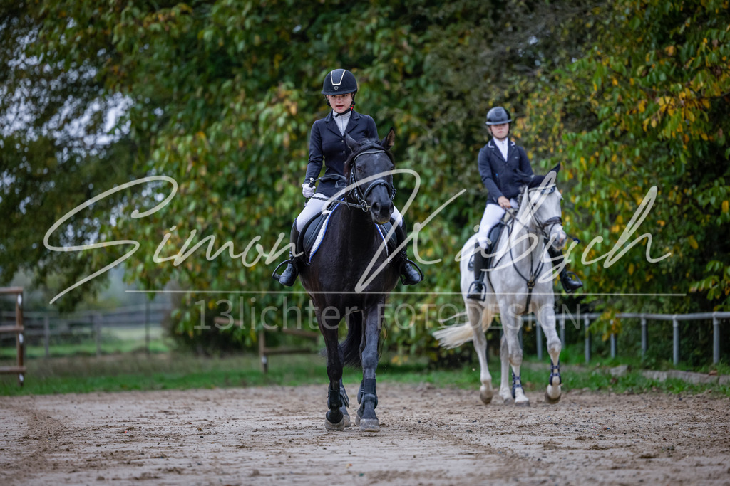 20251012-_3LI2634 | Tierfotografie Pferde, Hunde, Katzen, Haustiere.
Turnierfotografie Reitturniere, Reiten, Springreiten, Dressur in Hanau, dem Main-Kinzig-Kreis und dem Rhein-Main- Gebiet um Frankfurt