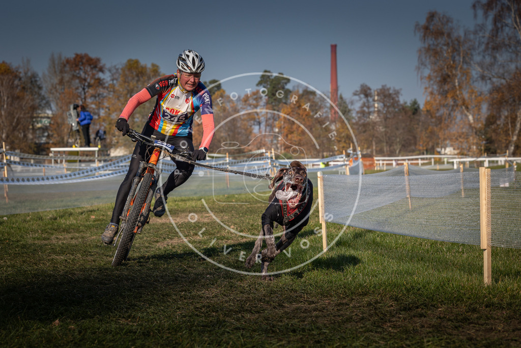 CaniXpix_0L8A6647 | Hundefotografie, Tierfotograf, Pfotenfotografie, Fotoshooting Hund, Hunde Portrait, Hundesport, Hundeportraits, Heideshooting, Hunde, Sportfotograf, Hundefotograf, Turnierhundsport, THS,  - Realisiert mit Pictrs.com