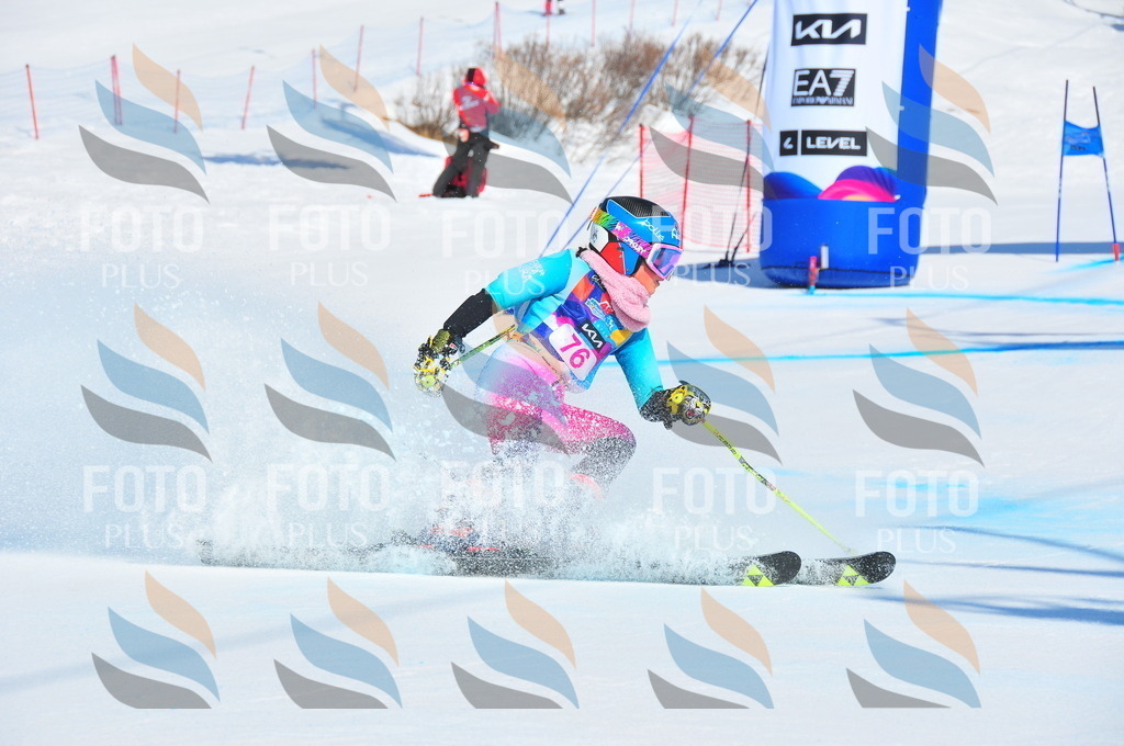 DSC_4356 | holidayphoto