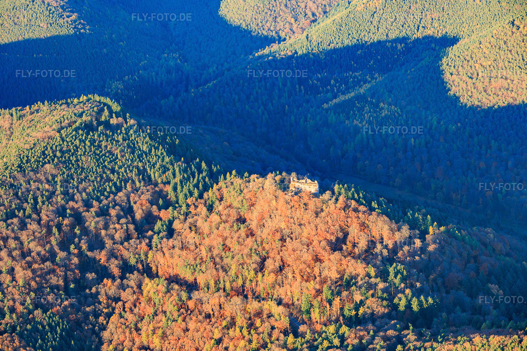 Luftbild: Burgruine Meisteresel im herbstlichen Wald in Ramberg im Bundesland Rheinland-Pfalz in Deutschland. Foto: IMG_150933.jpg vom 05.11.2025 durch Werner Riehm/FLY-FOTO.de