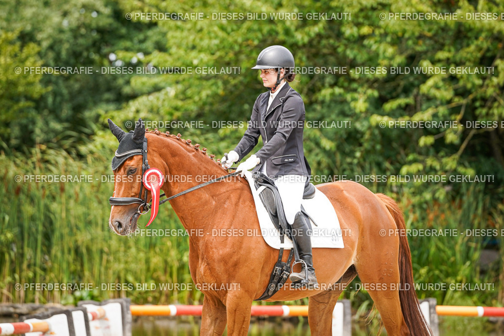 DSC04686 | Pferdegrafie