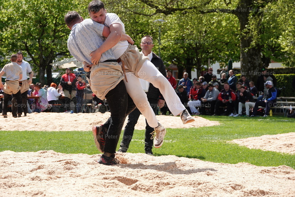 DSC00558 | Schwingen - Realisiert mit Pictrs.com
