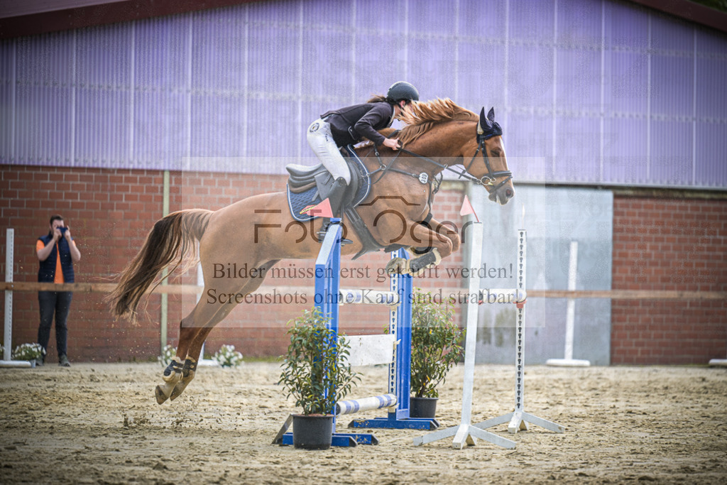 DOS_2482 | Entdecke hochwertige Reitturnierfotos von Foto Oger. Professionell, emotional und authentisch – jetzt Lieblingsmomente im Shop bestellen.Deutschlandweite Turnierfotografie. - Realisiert mit Pictrs.com