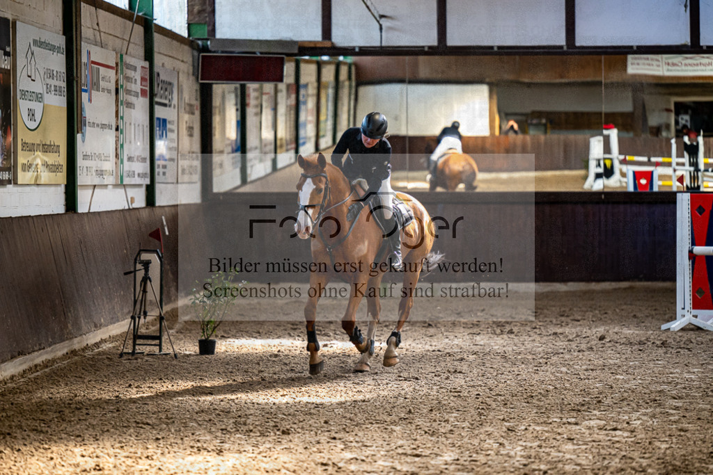 20240309-DOS_7119 | Entdecke hochwertige Reitturnierfotos von Foto Oger. Professionell, emotional und authentisch – jetzt Lieblingsmomente im Shop bestellen.Deutschlandweite Turnierfotografie. - Realisiert mit Pictrs.com