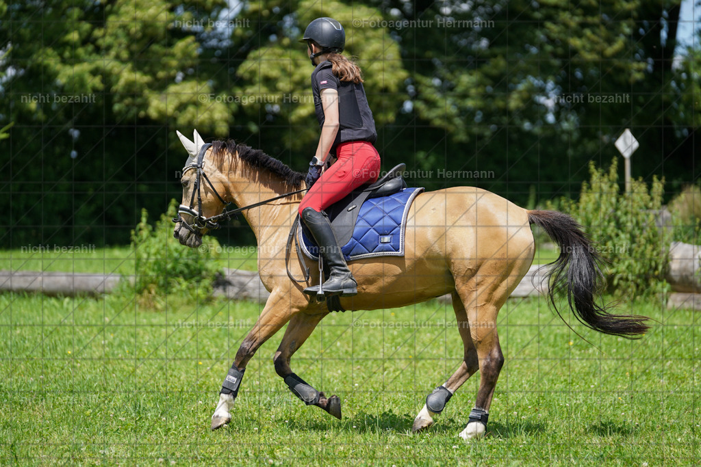 20240622-FAH07243 | Turnierfotografen Bayern, Reitsportbilder aus dem Geländekurs mit Felix Etzel auf dem Gut Waitzacker 2024