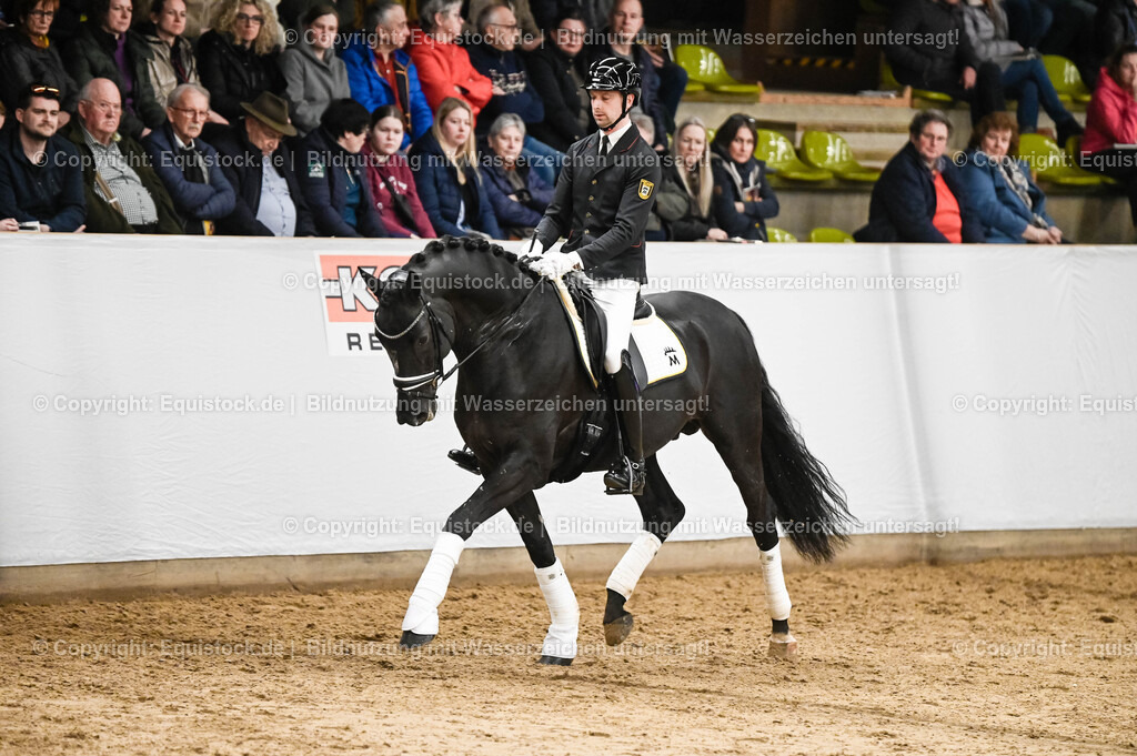 20260307_Hengstvorstellung-Marbach_0252 | equistock