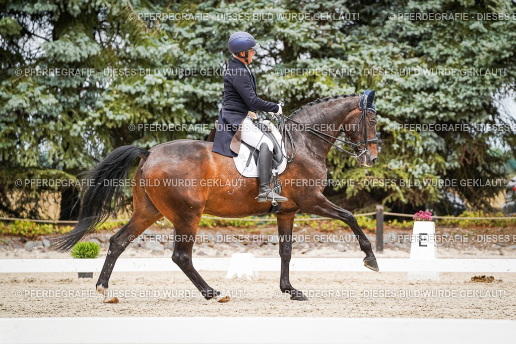 DSC05088 | Pferdegrafie