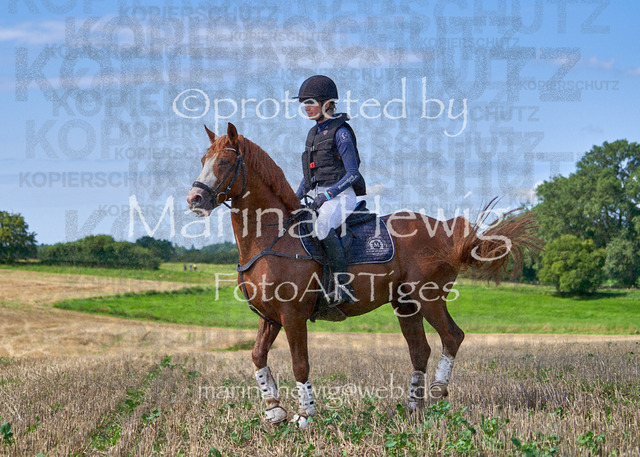 08-23 Bredeneek Jagd_MCH9211_Marina Hewig | Fotografie, FotoArt, PferdesportArt, Pferdesportfotografie, Landschaftsfotografie, Reisefotografie, Reise, Pferde - Realisiert mit Pictrs.com