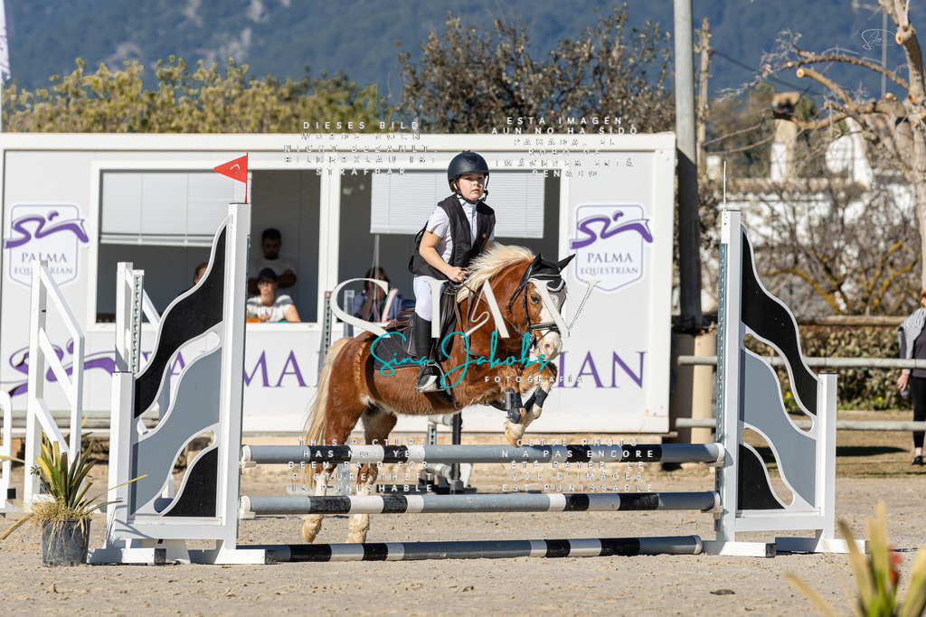 IMG_8156 | s-jay-photography - Realisiert mit Pictrs.com