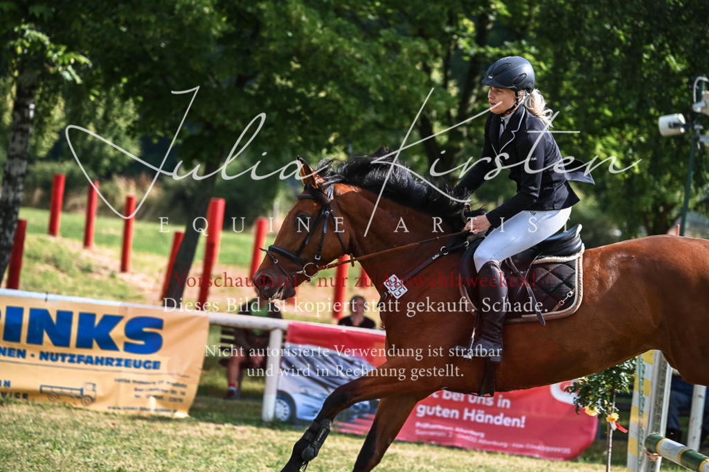 DSC_7810 | Pferde- und Turnierfotografie in Westsachsen. Pferdeportraits, Auftragszeichnungen und intuitive Kunst.