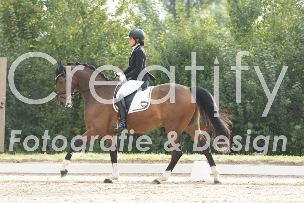 IMG_4085 | Creatify Fotografie