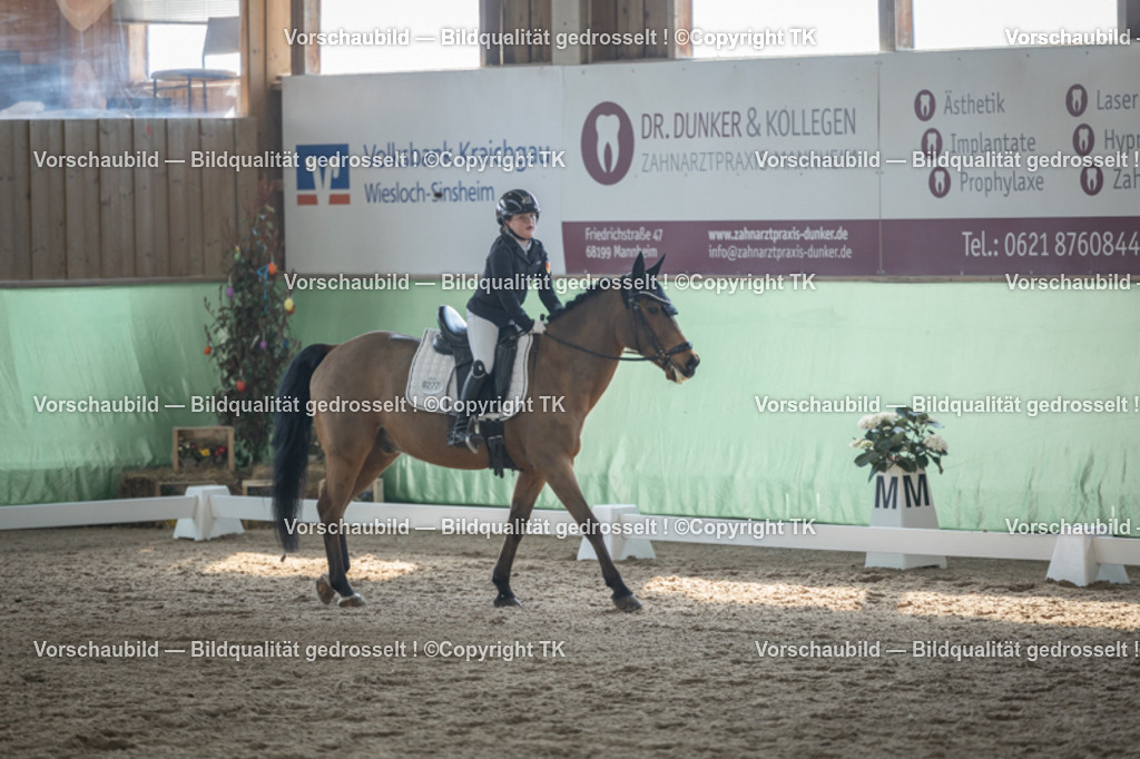 _D5A8573 | Emotionale Pferde- & People-Fotografie rund um Heidelberg, Leimen & Umgebung. Natürliche Fotos von Pferd, Mensch & Familie. Jetzt Termin sichern!