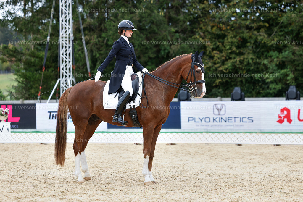 11-201-Dressur S___-StoibPH-934 | working equitationturnier fotograf videograf stoibphotography marixx film working equitation deutschland reitsport turnierfotografie eventfotografie equestrian events