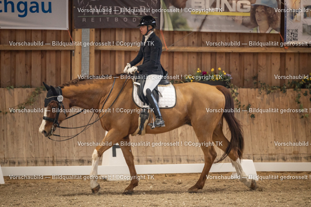 _D5A9212 | Emotionale Pferde- & People-Fotografie rund um Heidelberg, Leimen & Umgebung. Natürliche Fotos von Pferd, Mensch & Familie. Jetzt Termin sichern!