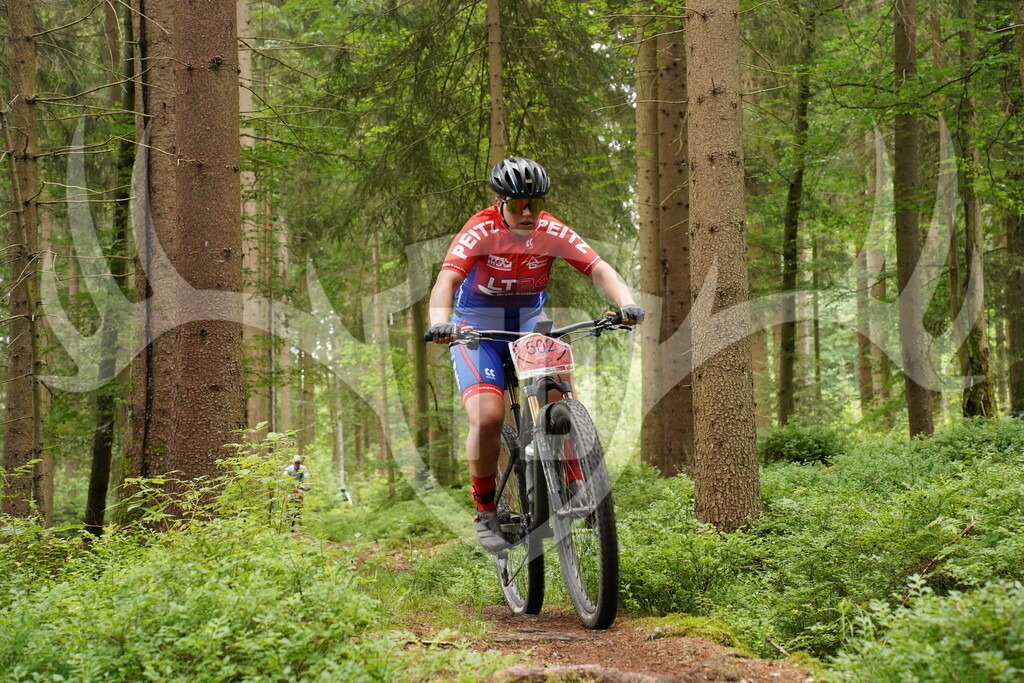 DSC05085 | Fotogalerie der Treibjagd im Dunkelwald - Dein MTB Etappenrennen im Erzgebirge - Realisiert mit Pictrs.com