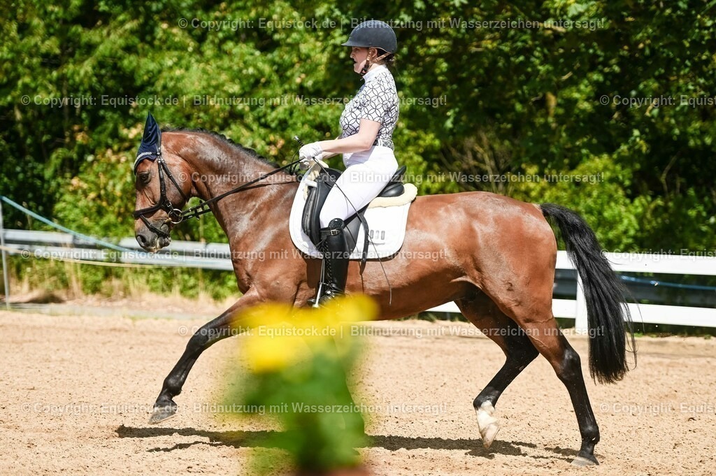 20230715_02_Dressurreiterprüfung Kl.L_0146 | equistock