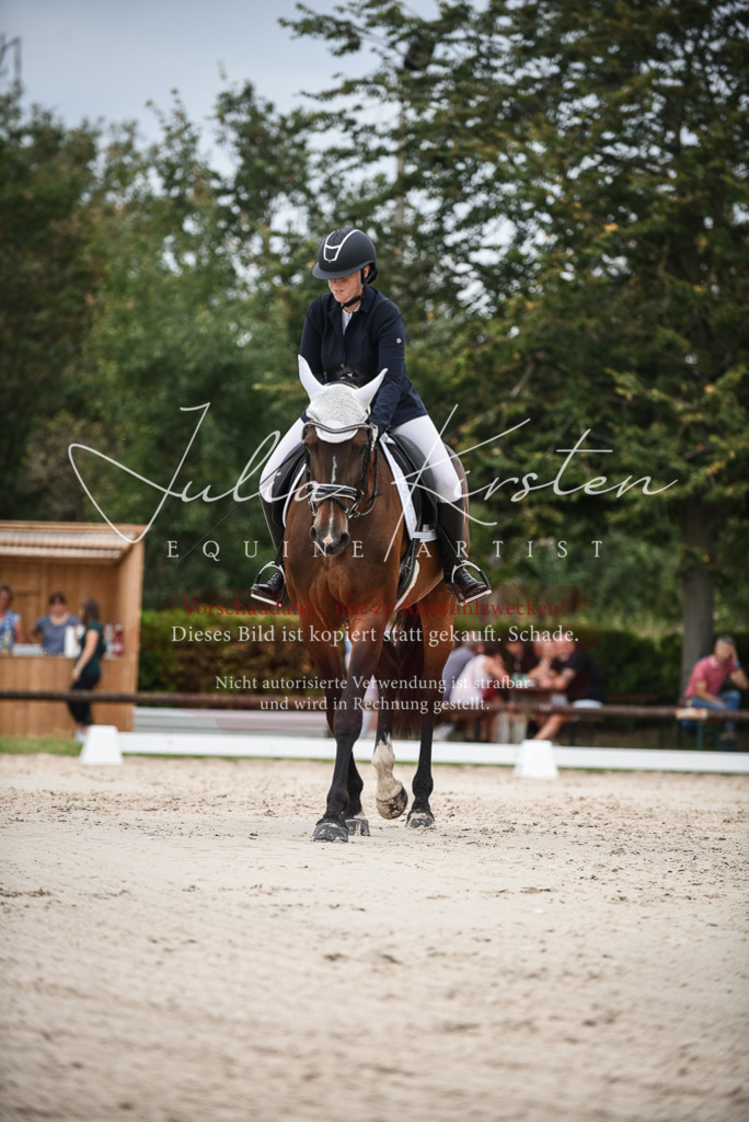 DSC_8471 | Pferde- und Turnierfotografie in Westsachsen. Pferdeportraits, Auftragszeichnungen und intuitive Kunst.